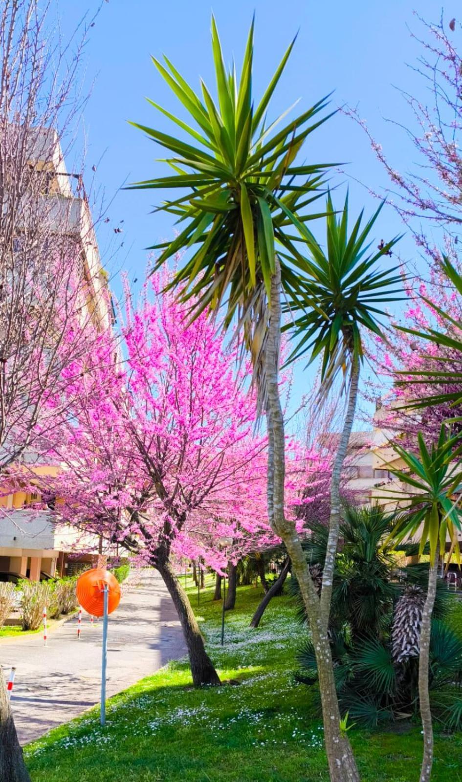 Rome Sweet Home Vitinia Exterior photo